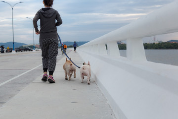 French bulldog is doing excercise at seaside road in the morning.