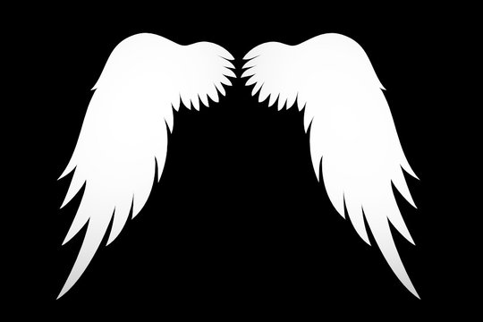 White Wings. Vector illustration on black background. 