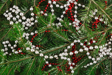 Closeup of pine tree branches decorated with beads garland