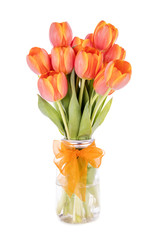 Bunch of Peachy Tulips in a Mason Jar Isolated on White