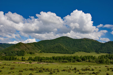 Fototapeta na wymiar In the steppes of the Altai mountains