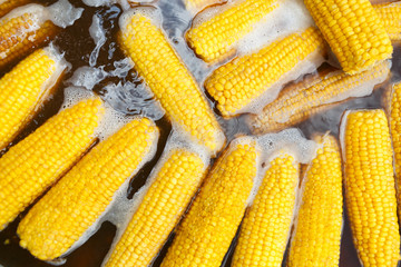 Fresh corncobs boiling in water closeup