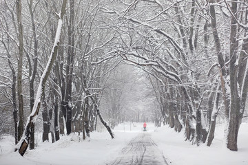 Snow-covered winter park and benches. Park and pier for feeding 