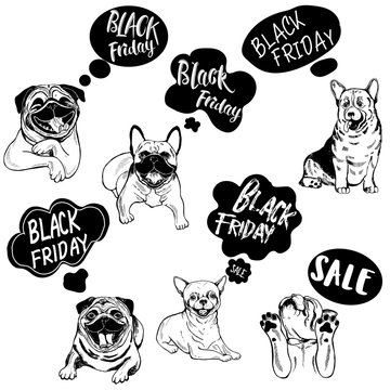 Set of hand drawn sketch style Black Friday dogs. Vector illustration isolated on white background.