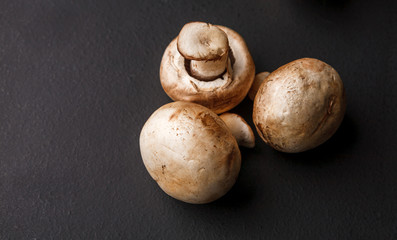 Fresh mushrooms on black background, copy space, cooking backgroung.