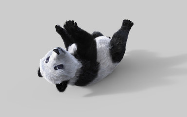 3d illustration panda isolated on white background with clipping path, a cute panda bear. © mrjo_7