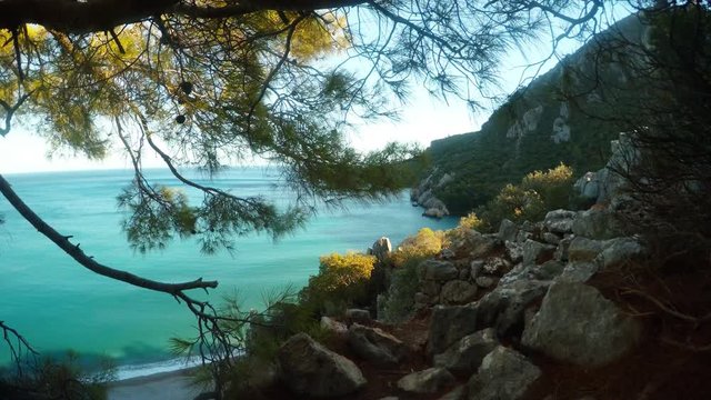 Coniferous tree, the Mediterranean Sea from the hill on which the ruins of the ancient city of Olympos, the Lycian path