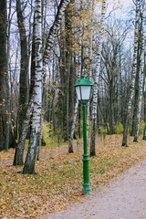 Birch Alley with beautiful street lamps in the estate of Leo Tolstoy in Yasnaya Polyana.