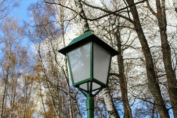 Fototapeta na wymiar Birch Alley with beautiful street lamps in the estate of Leo Tolstoy in Yasnaya Polyana.