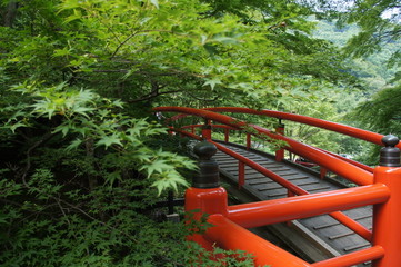 河鹿橋 (kazika bridge)