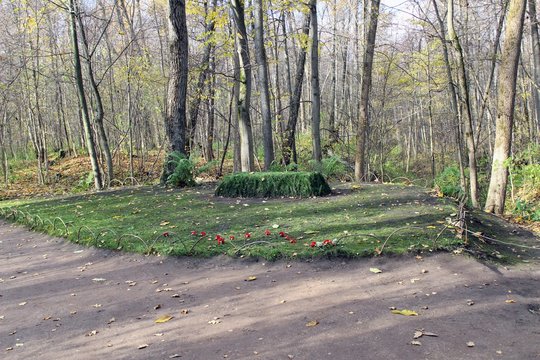 The grave of the writer in the estate of Count Leo Tolstoy in Yasnaya Polyana in October 2017.
