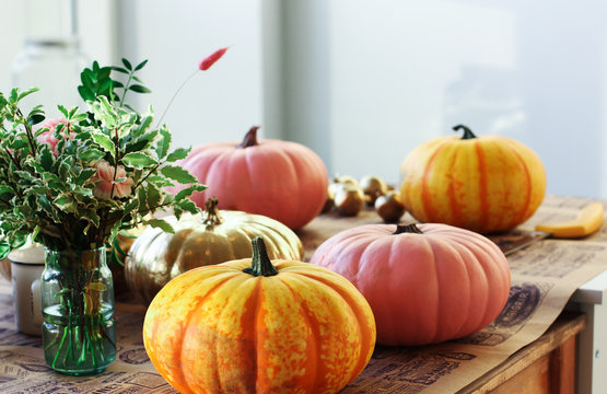 Painted pumpkins in the creative workshop