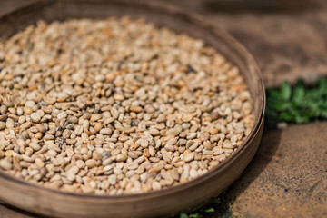 Clean kopi luwak coffee beans