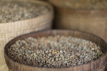 Kopi luwak coffee beans