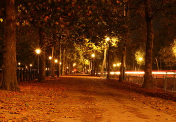 Aleja w Londynie jesienną nocą