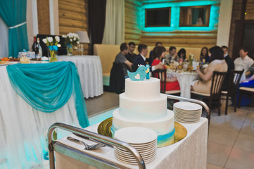 Blue birds on the top of the cake 8811.