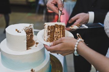 Care of the hostess of guests 8815.