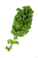 kale leaf isolated