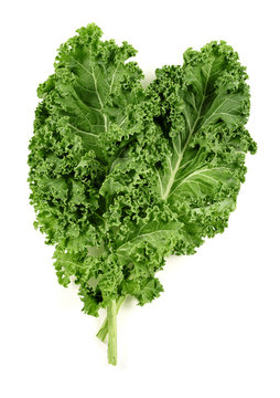 kale leaves isolated