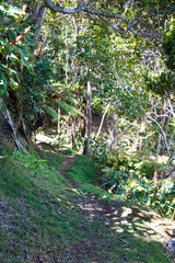 The Path Least Taken