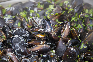 Close up of mussels with wine and cream