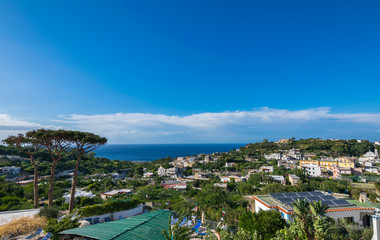 Obraz premium Villas in Casamicciola Terme, Ischia, Phlegrean Islands, Tyrrhenian Sea, Italy, South Europe