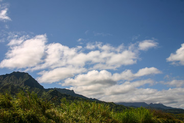 Fototapeta na wymiar Kauai