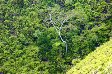 Standing Above the Crowd