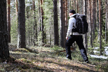 Fototapeta premium A man is a tourist in a pine forest with a backpack. A hiking tr