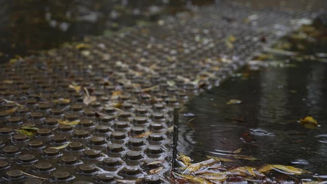 drops of fallen leaves in a puddle with fallen leaves. 4k, the delayed shooting. a path for the blind