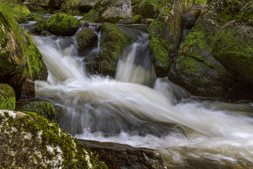 Fast-flowing water, picturesque blurred shapes of the water movement. Mossy rocks . 