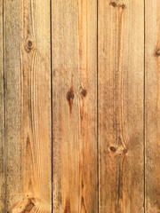 Wood texture, Wood background