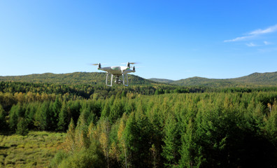 drone flying in the autumn forest