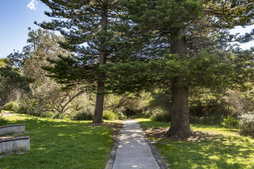 Obraz premium Walking Path in a Park on a Sunny Day
