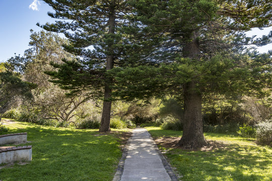 Walking Path in a Park on a Sunny Day