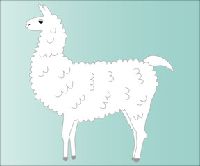 Lama of white coloring, fluffy, fur on a blue background