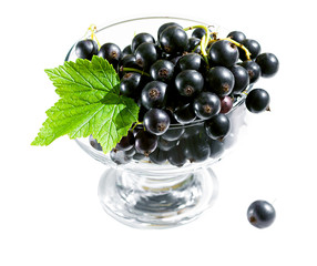  delicious dessert of fresh black currant