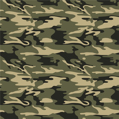 Fototapeta premium camouflage pattern