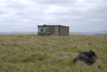 Rural dwelling in Eatern Cape, South Africa