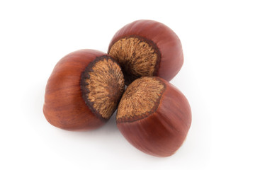 Three hazelnuts isolated on white