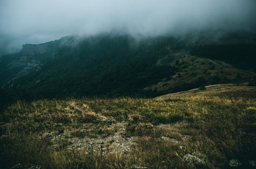 cloudy path in the mountains