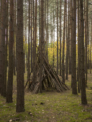 wigwam in forest