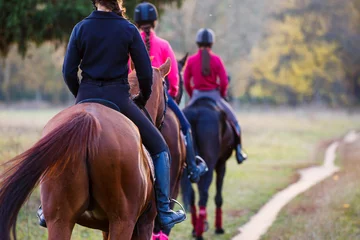 Fototapeten Gruppe von Mädchen im Teenageralter, die Pferde im Herbstpark reiten. Pferdesporthintergrund mit Kopienraum © skumer