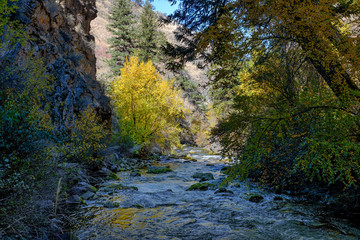 Rapid River in Fall