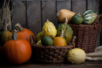 Dynia,  Halloween, jesień, różne kolory