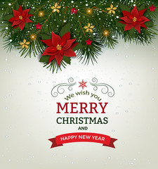 Christmas background with fir branches and Christmas flowers
