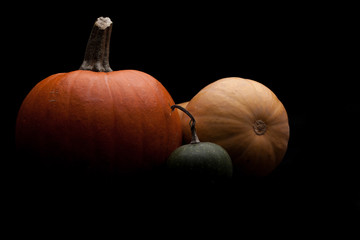 Dynia,  Halloween, jesień, różne kolory