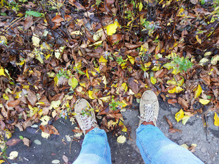 Morning jog along the autumn park and dew on sneakers