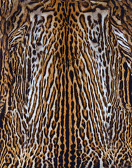 leopard fur