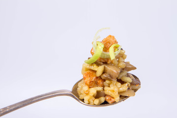 Risotto with mushrooms and chicken decorated with leek on a spoon on a white background